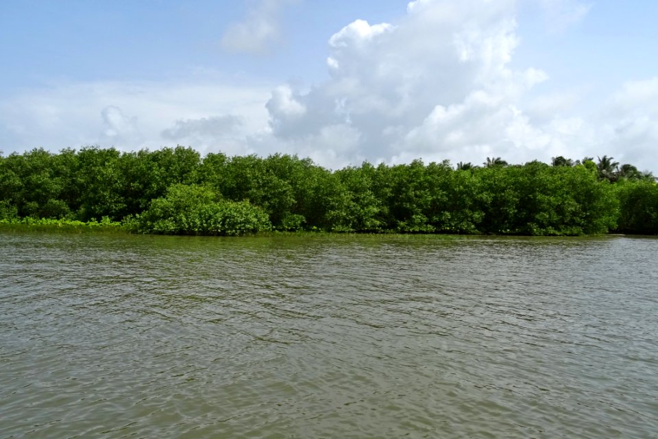 Waterway River Body Of Water Water Resources