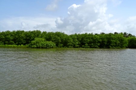 Waterway River Body Of Water Water Resources photo