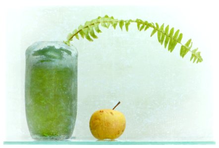 Fruit Still Life Photography Coconut Water Health Shake