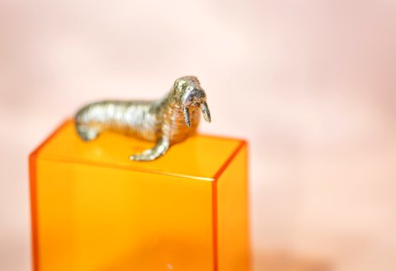 Abstract Animal Background