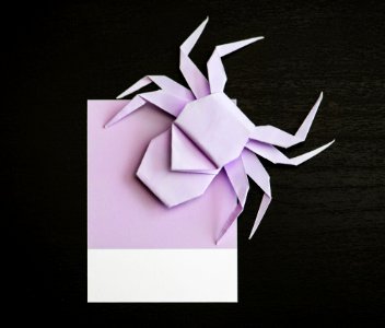 Animal Art Background