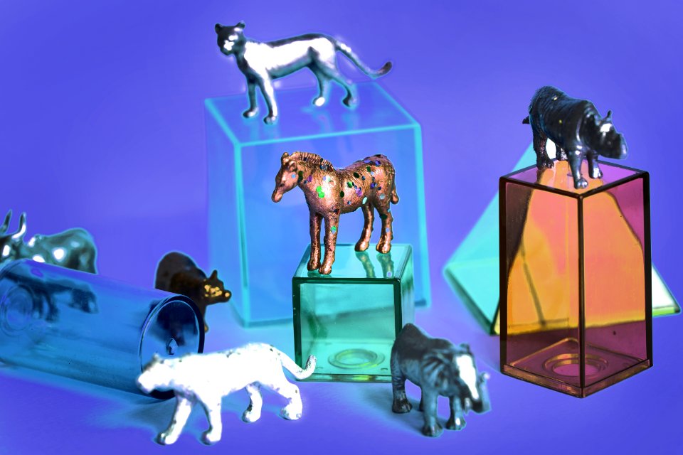 Amusement Animals Background