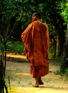 Mens Brown Top Near Trees