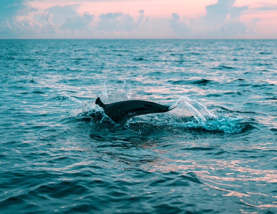 Photography Of Body Of Water