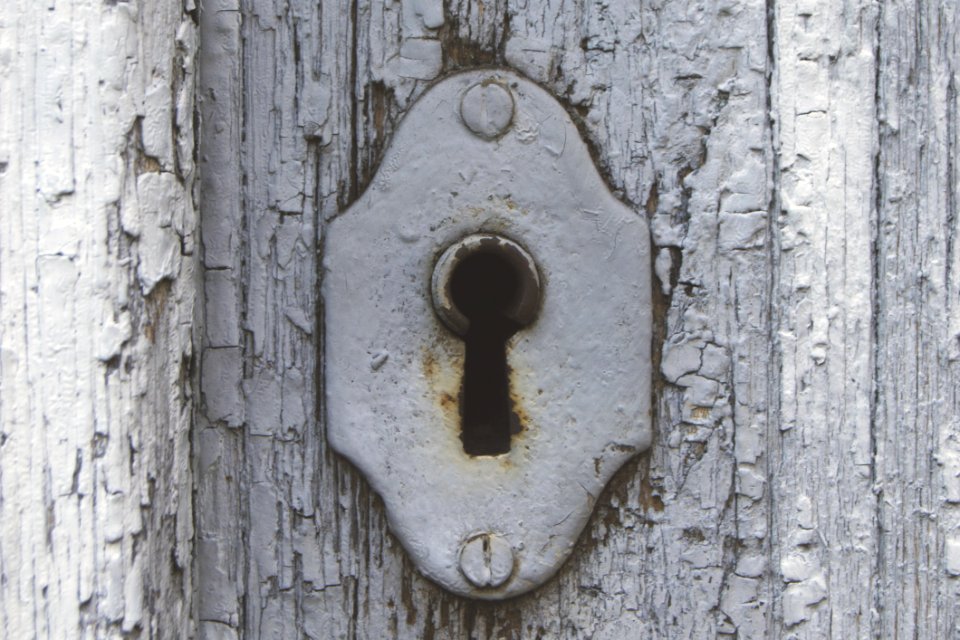 Antique Close-up Door