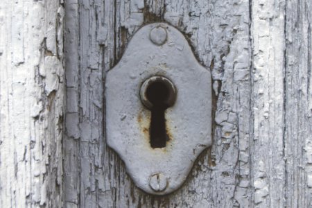 Antique Close-up Door
