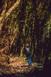 Photo Of Man Walking In The Forest photo