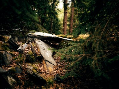 Photography Of Rocks In Forest photo