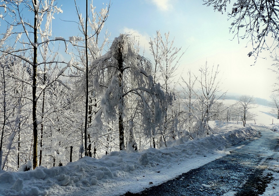 Snow winter magic frost