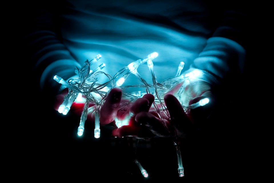 Person Holding White String Lights