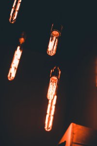 Light Bulbs Turned On photo