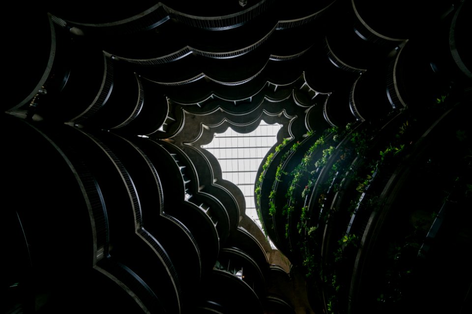 Low Angle Photo Of Plants On Rack