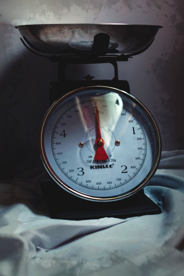 Stainless Steel Weighing Scale