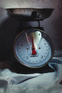 Stainless Steel Weighing Scale