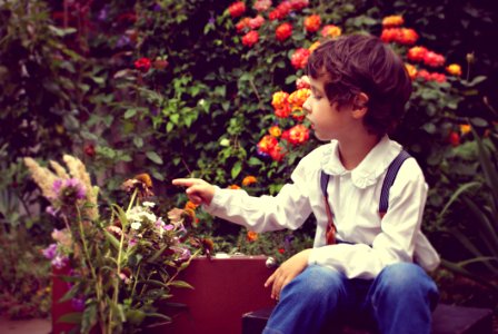 Photo Of Boy Sitting And Touch Flowers photo