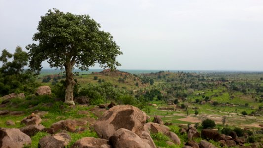 Landscape Photo Of Green Grass Field photo