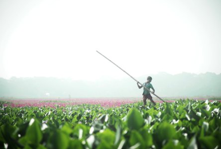 Boy Wearing Green Shirt Holding Stick photo