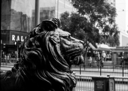 Grayscale Photo Of Lion Statue photo