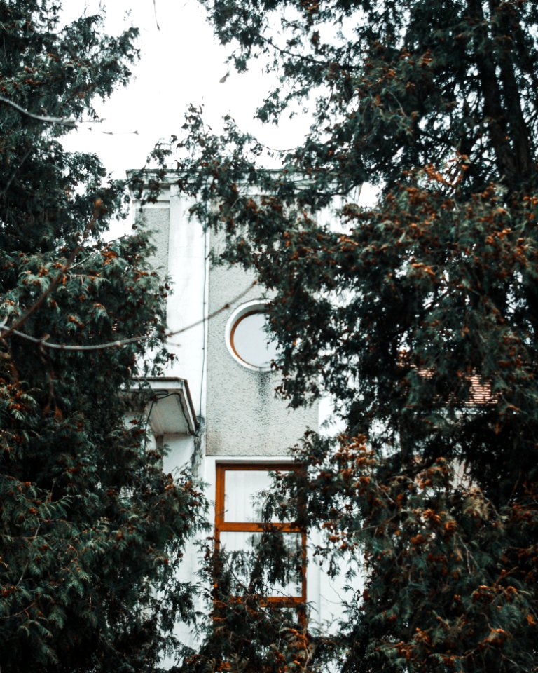 Grey And White Building