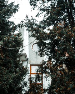 Grey And White Building