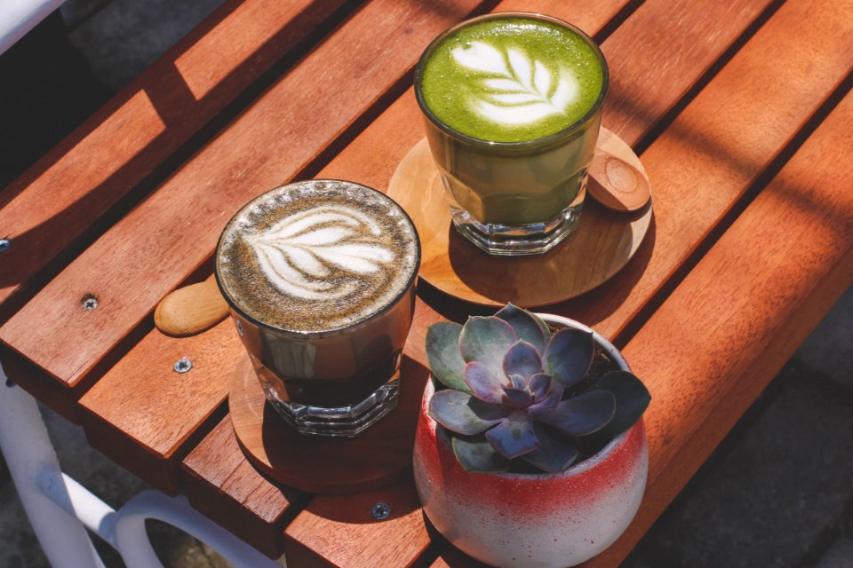 Green Succulent Near Clear Teacups