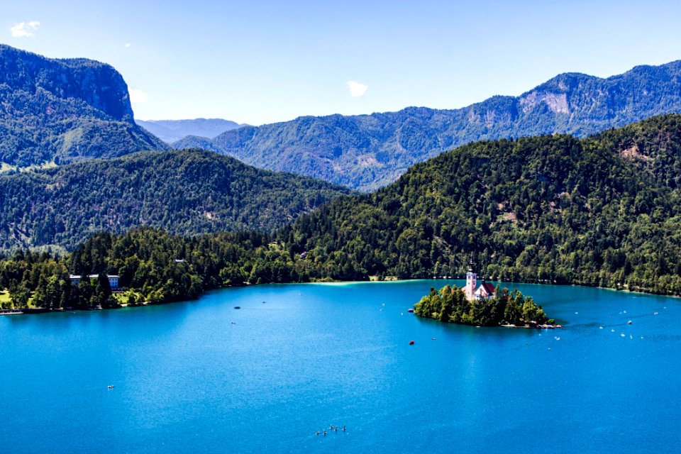 Green Trees Near Body Of Water Under Blue Sky