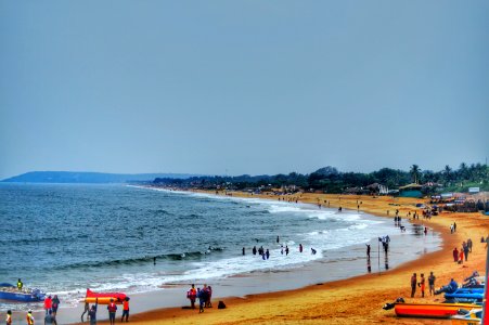 People On Beach Surrounded With Tree