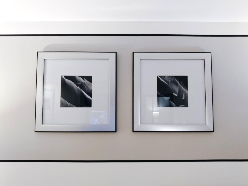 Two Gray And Black Flower Paintings On Wall Inside The Room