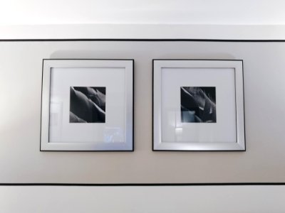 Two Gray And Black Flower Paintings On Wall Inside The Room