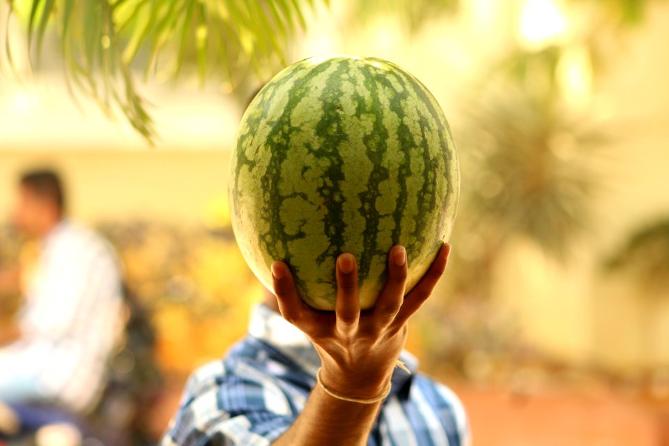 Selective Focus Photo Of Man Raising The Watermelon