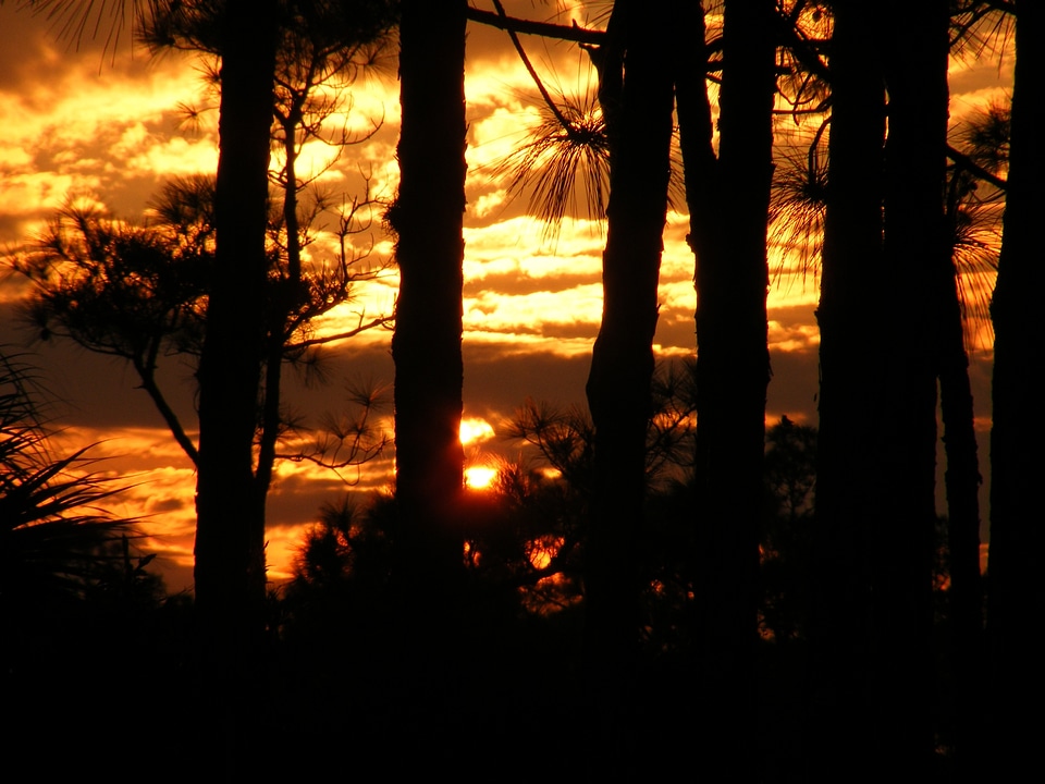 Clouds silhouettes nature