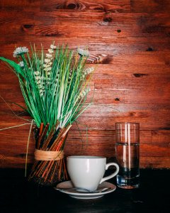 Green Leafed Plants Near White Ceramic Teacup And Saucer