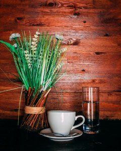 Green Leafed Plants Near White Ceramic Teacup And Saucer photo