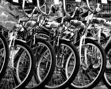 Grayscale Photo Of Bicycles