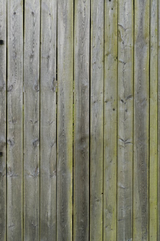 Wood Plank Texture Wall photo
