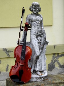 Violin Family Violin Cello Musical Instrument photo