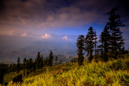 Sky Nature Wilderness Ecosystem photo