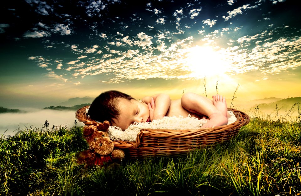 Photograph Grass Photography Romance
