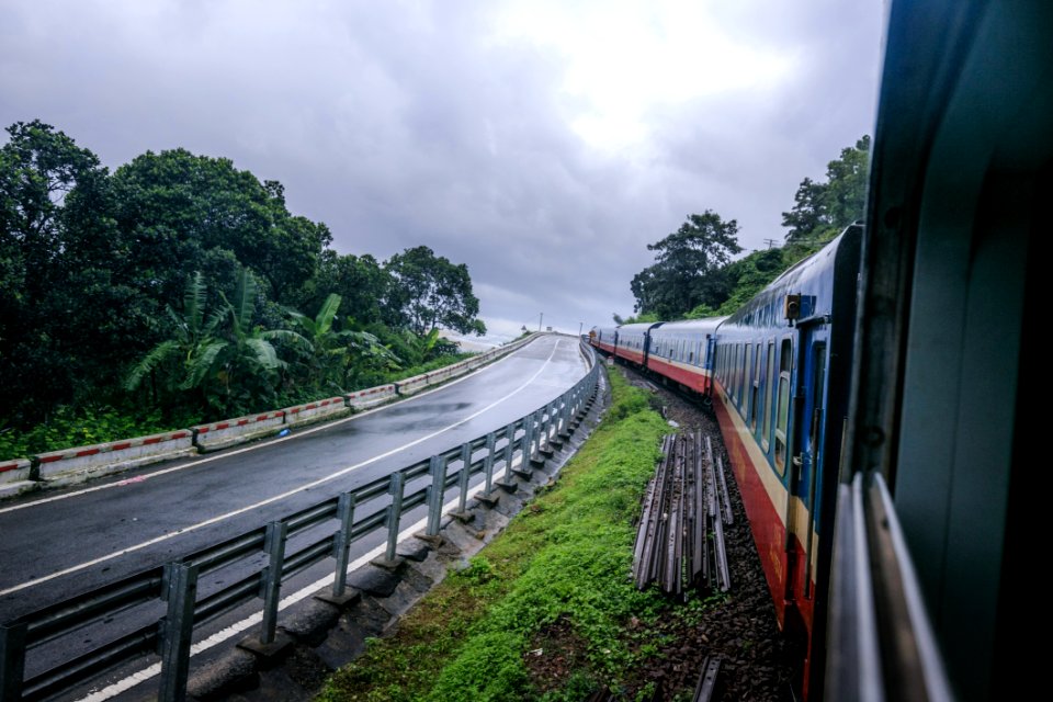 Track Transport Rail Transport Tree