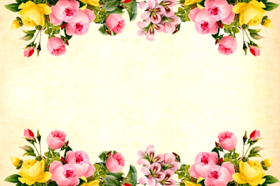 Flower Flowering Plant Flower Arranging Blossom