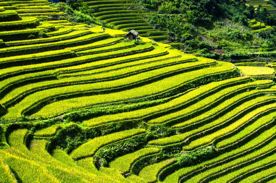 Mu cang chai yen bai vietnam