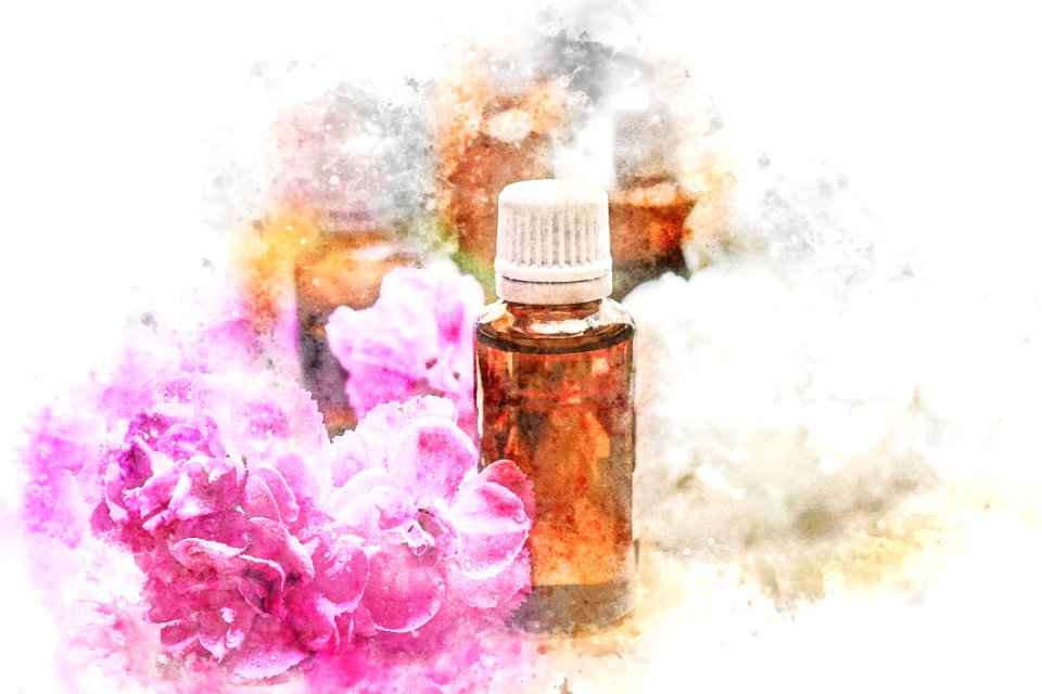 Flower Still Life Photography Still Life Perfume
