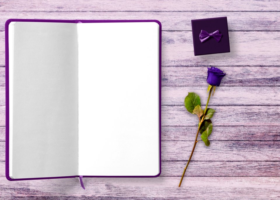 Purple Violet Lilac Lavender