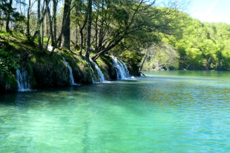 Water Nature Water Resources Nature Reserve photo