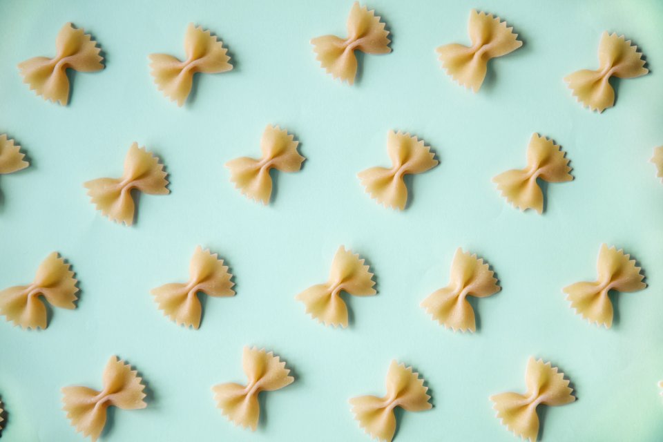 Royal Icing Petal Invertebrate Pollinator