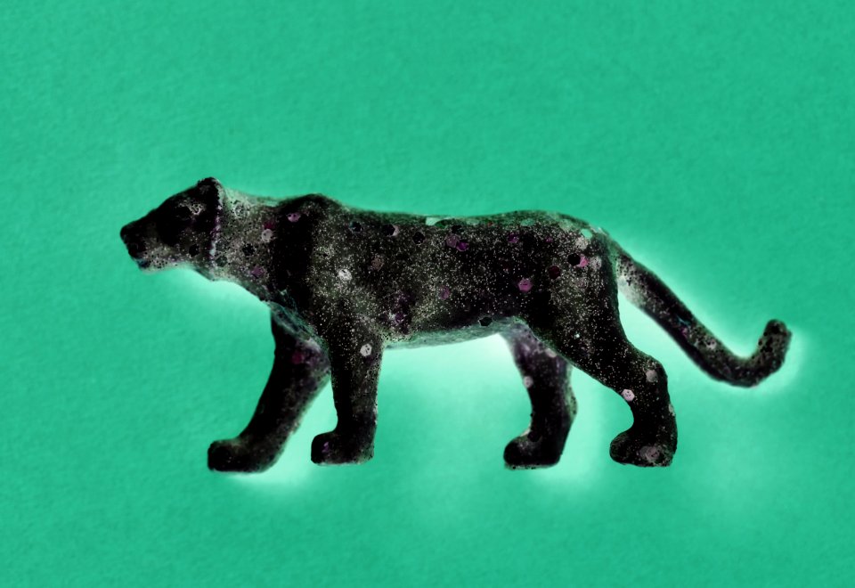 Aerial Animal Background