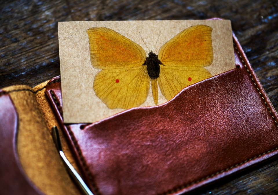 Aerial Antique Card