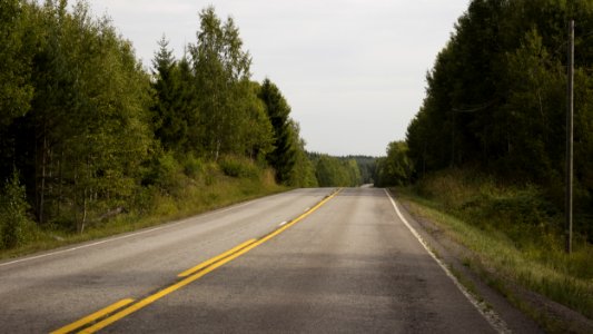 Asphalt Road Surrounded By Green Trees photo