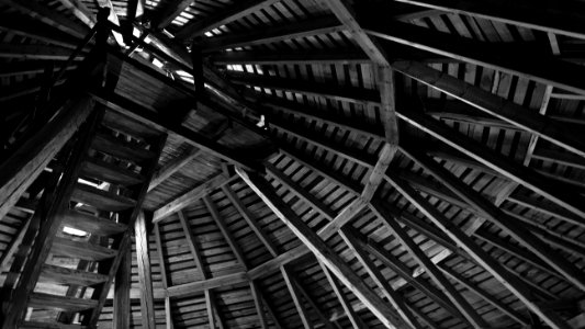 Brown Wooden Ceiling In Grayscale Photo