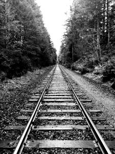 Grayscale Photography Of Railway Surrounded By Trees
